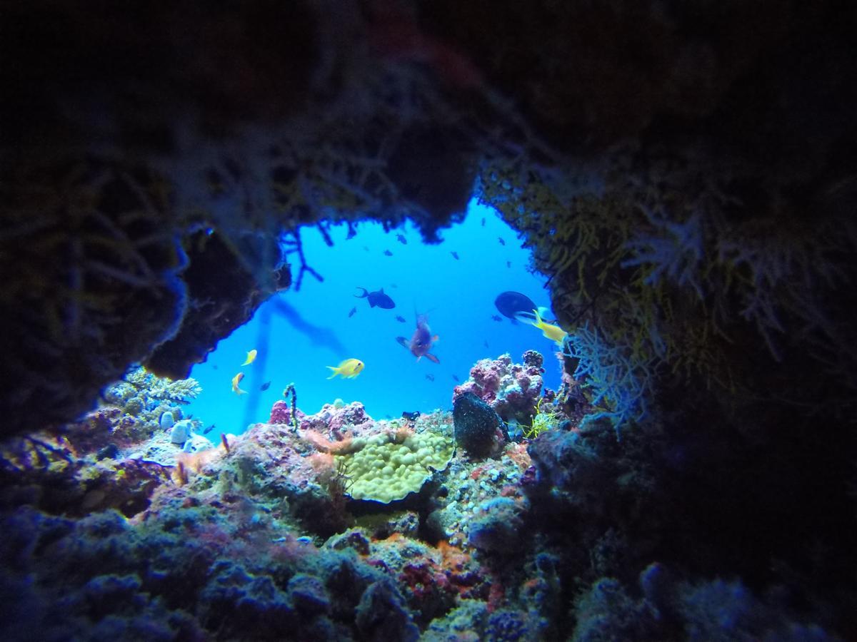 Hotel Equa Reef Maldives Addu City Exterior foto