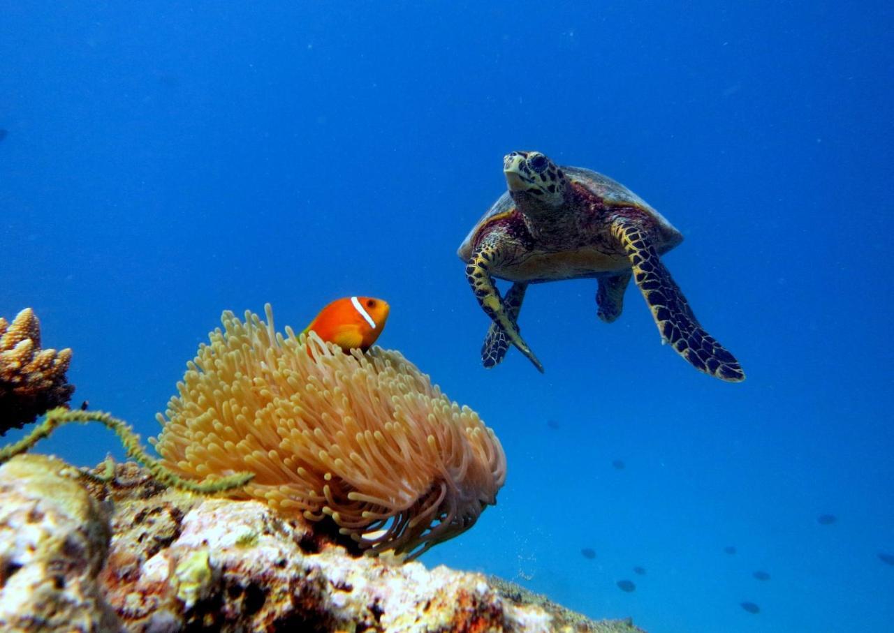 Hotel Equa Reef Maldives Addu City Exterior foto