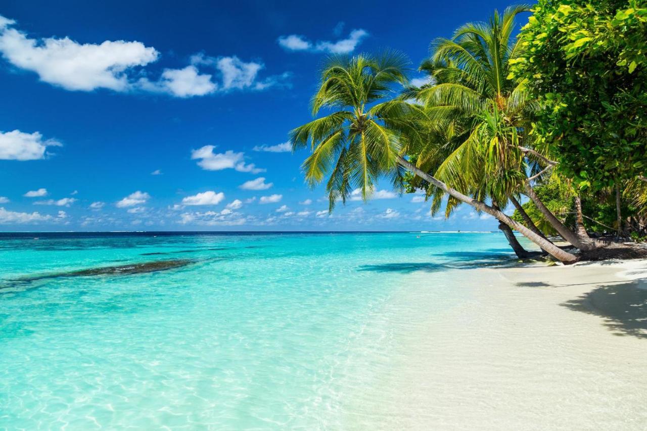 Hotel Equa Reef Maldives Addu City Exterior foto